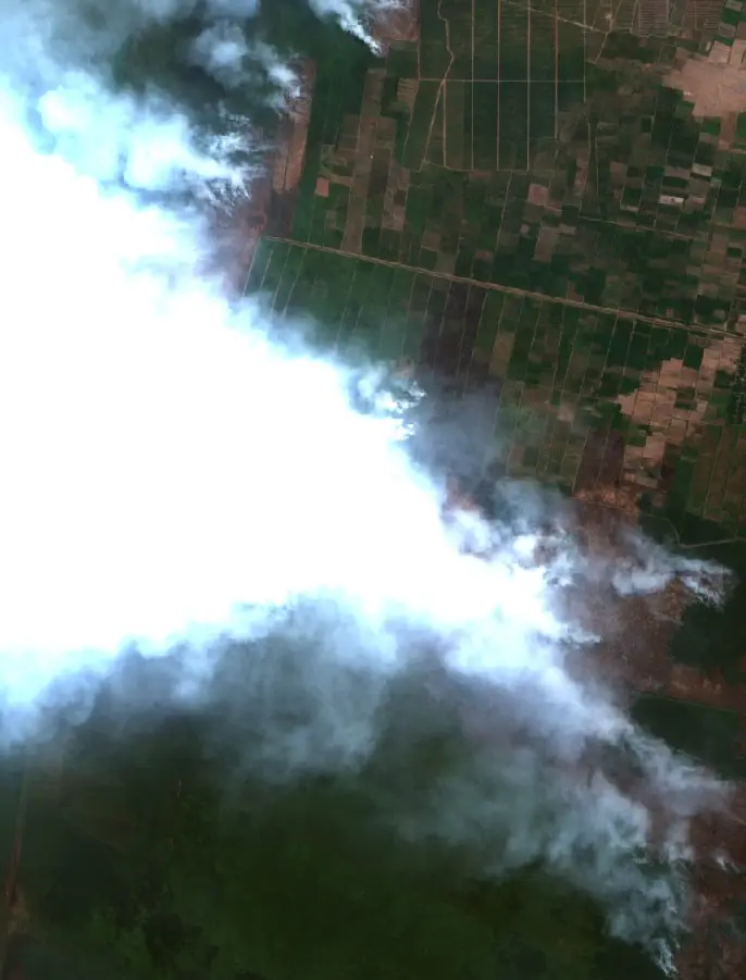 After —  (Sentinel-2, 2026-09-06)