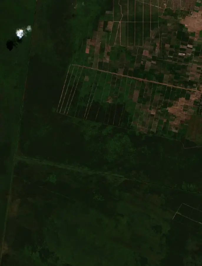 Before —  (Sentinel-2, 2026-08-07)