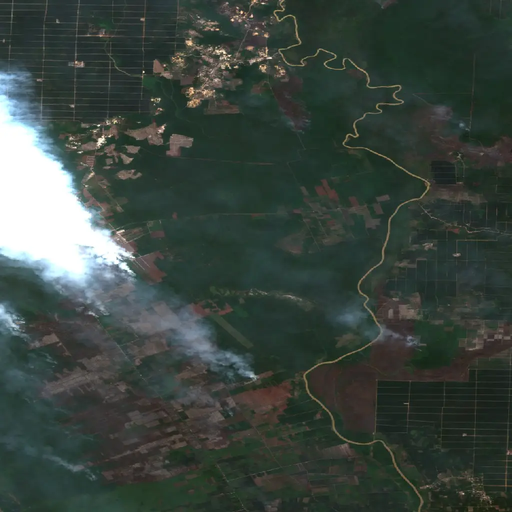 After —  (Sentinel-2, 2026-09-19)