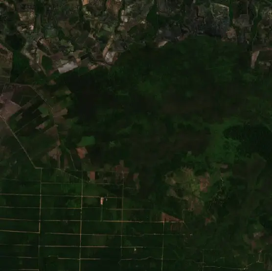 Before — Paser (Sentinel-2, 2026-08-17)