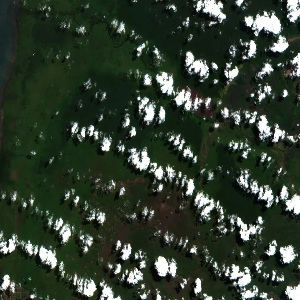 Before — Kotawaringin Barat (Sentinel-2, 2026-08-25)
