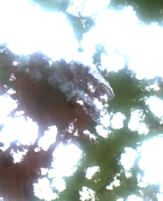 After — Kotawaringin Barat (Sentinel-2, 2026-09-09)