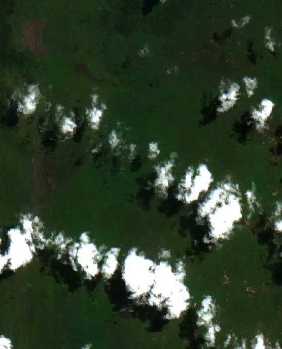 Before — Kotawaringin Barat (Sentinel-2, 2026-08-25)