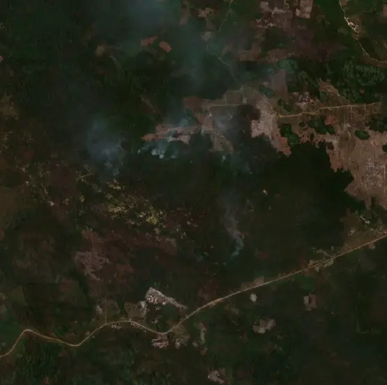 After — Kotabaru (Sentinel-2, 2026-10-08)