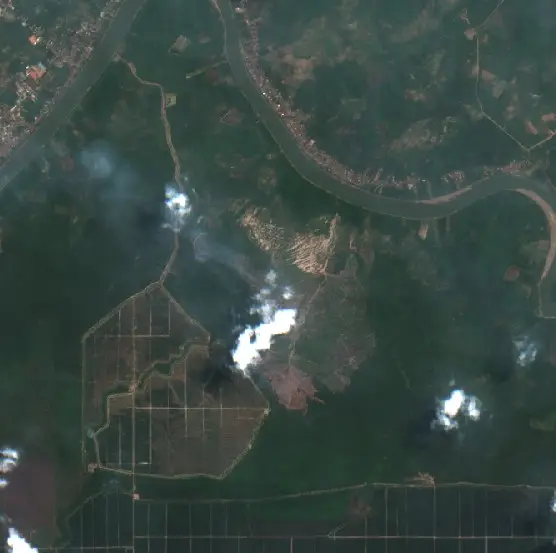 After — Sekayu (Sentinel-2, 2026-09-03)