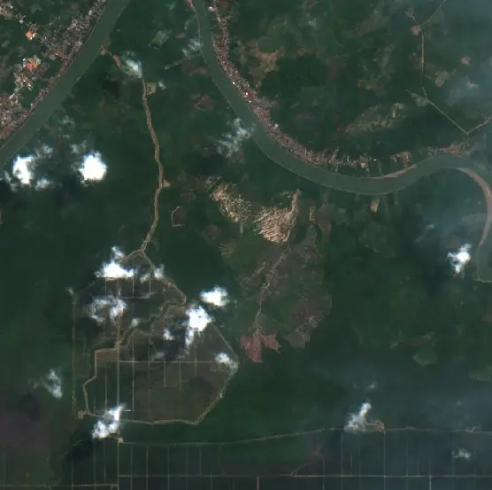 Before — Sekayu (Sentinel-2, 2026-08-24)