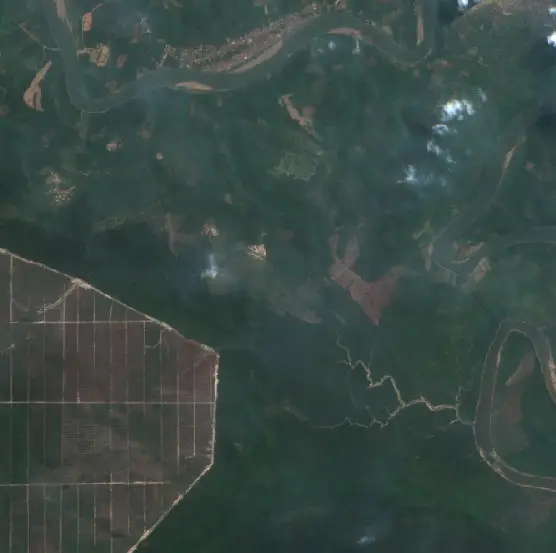 After — Sekayu (Sentinel-2, 2026-09-03)
