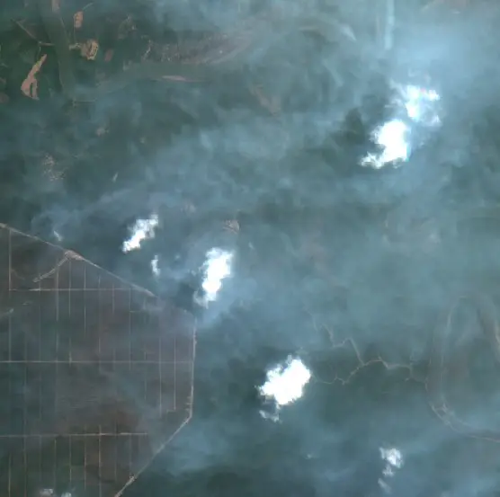 Before — Sekayu (Sentinel-2, 2026-08-24)