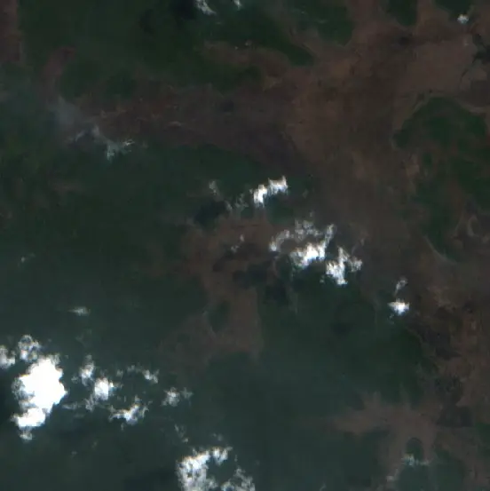 After — Merauke (Sentinel-2, 2026-09-11)