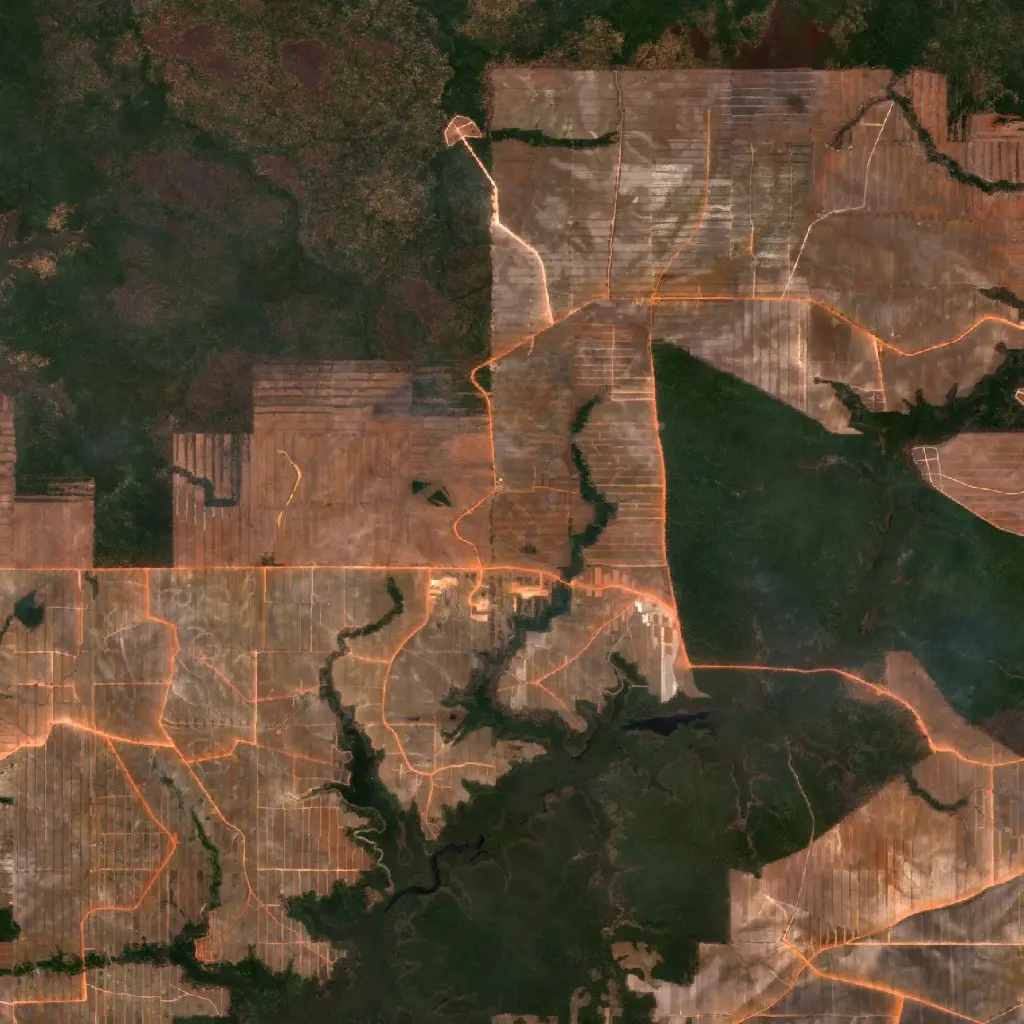 Before — Merauke (Sentinel-2, 2026-10-05)