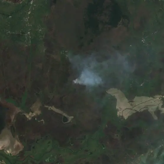 After — Paniai (Sentinel-2, 2026-10-19)
