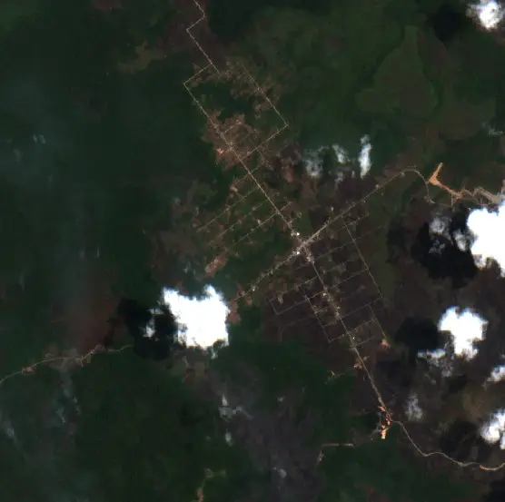After —  (Sentinel-2, 2026-09-10)
