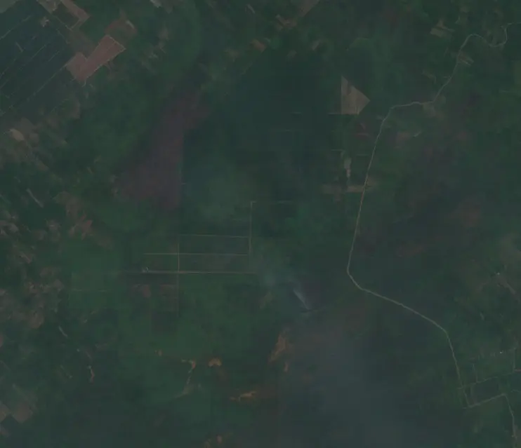 Before — Kapuas (Sentinel-2, 2026-08-22)