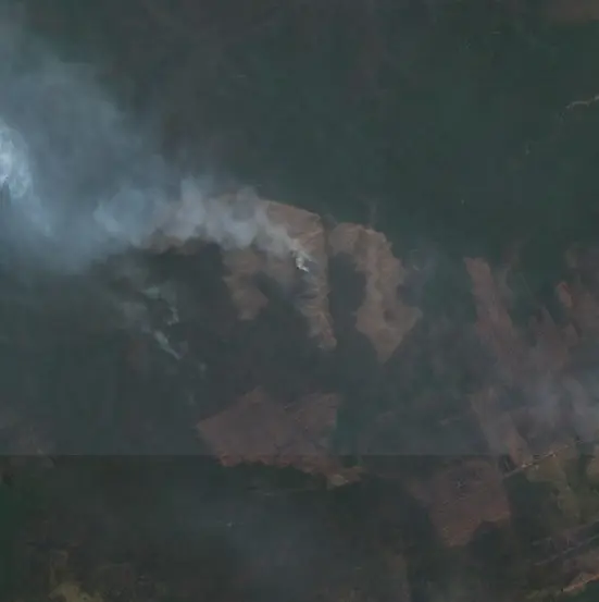 Before — Merauke (Sentinel-2, 2026-09-08)