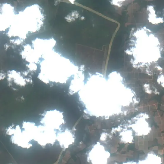 After —  (Sentinel-2, 2026-09-10)