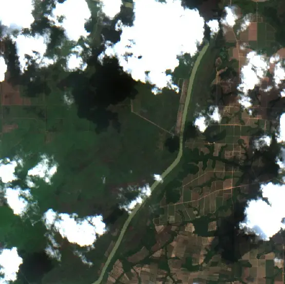 Before —  (Sentinel-2, 2026-08-01)