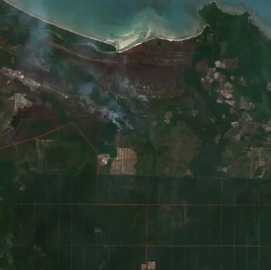 After — Bangka (Sentinel-2, 2026-09-08)