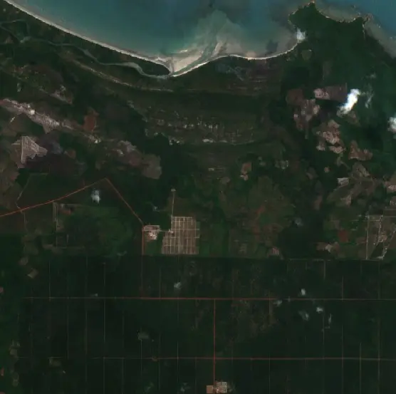 Before — Bangka (Sentinel-2, 2026-08-24)