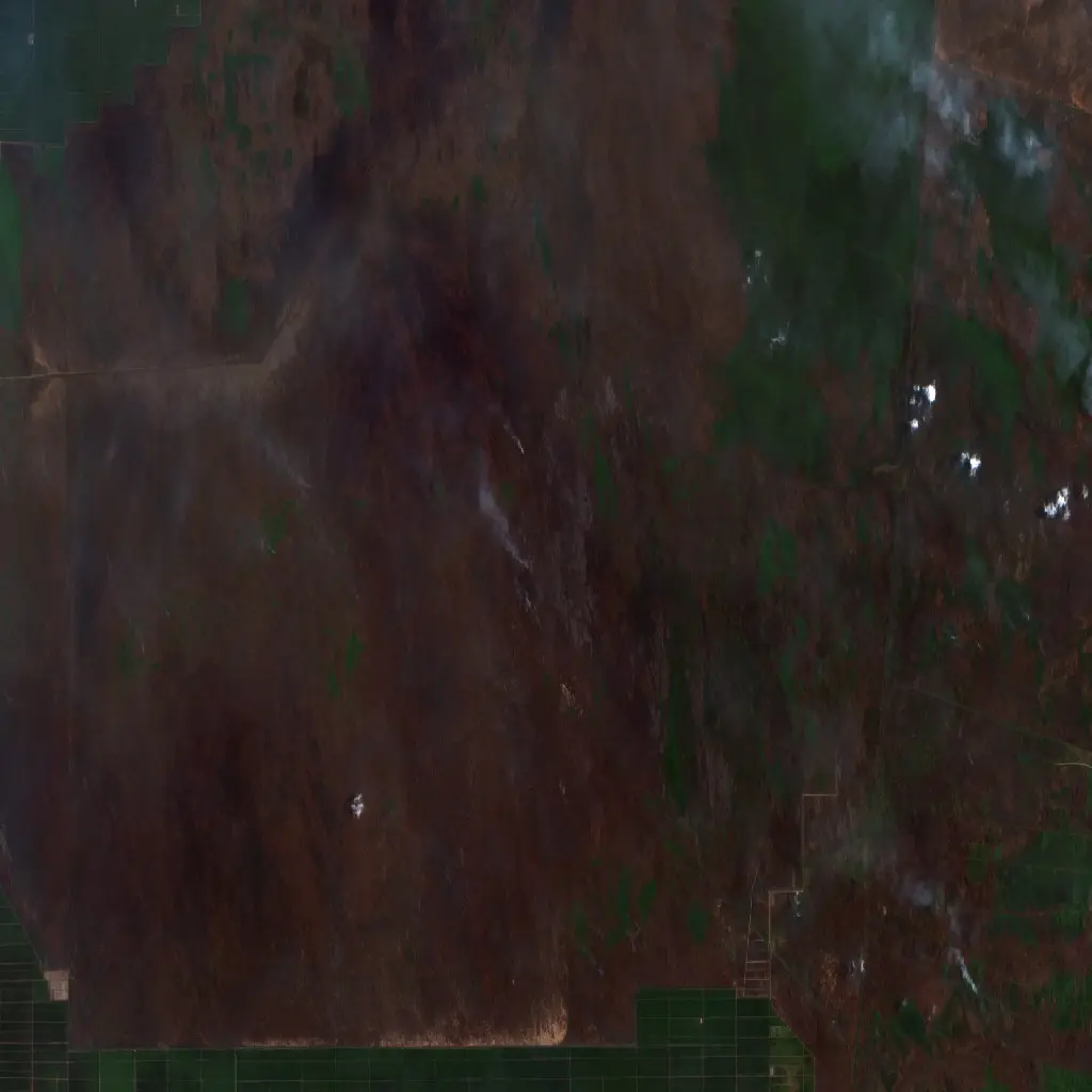 After — Pulang Pisau (Sentinel-2, 2026-10-01)