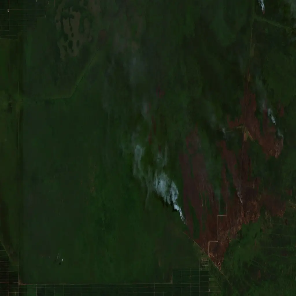Before — Pulang Pisau (Sentinel-2, 2026-08-29)