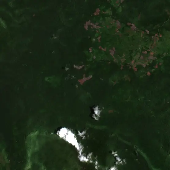 Before — Morowali Utara (Sentinel-2, 2026-10-07)