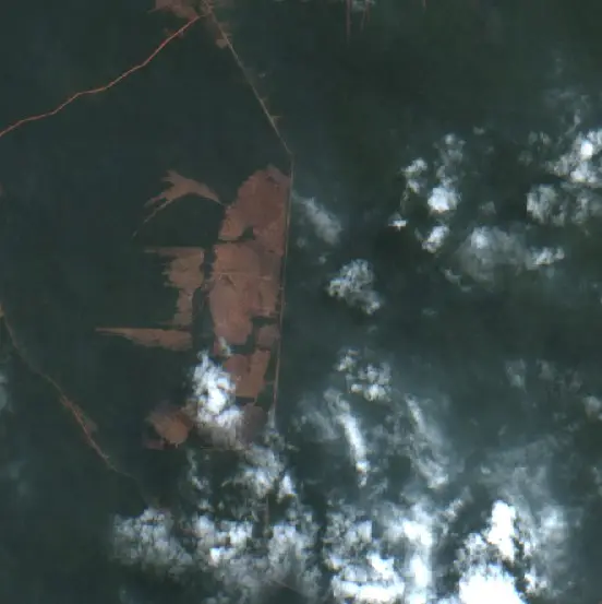 After — Merauke (Sentinel-2, 2026-09-08)