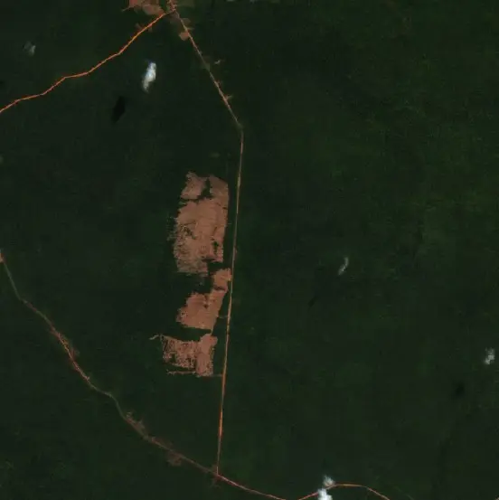 Before — Merauke (Sentinel-2, 2026-08-24)