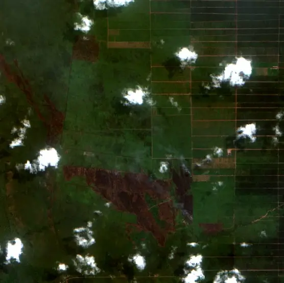 After — Pulang Pisau (Sentinel-2, 2026-09-06)