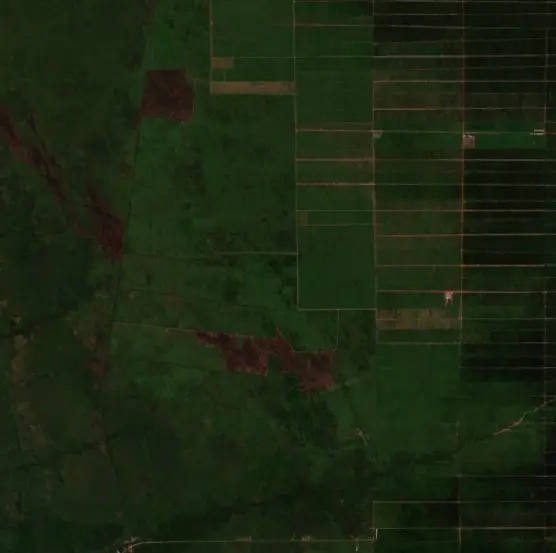 Before — Pulang Pisau (Sentinel-2, 2026-08-29)