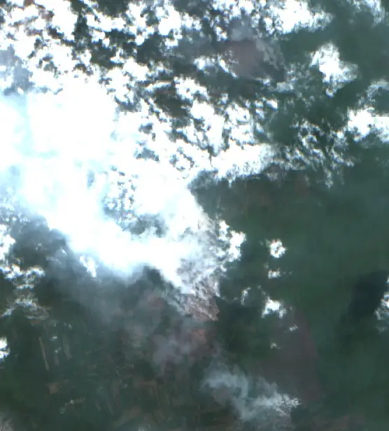 After — Kotawaringin Timur (Sentinel-2, 2026-09-14)
