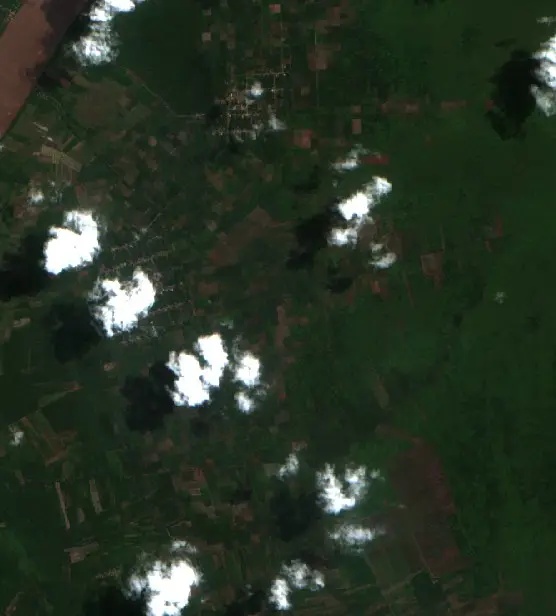 Before — Kotawaringin Timur (Sentinel-2, 2026-08-20)