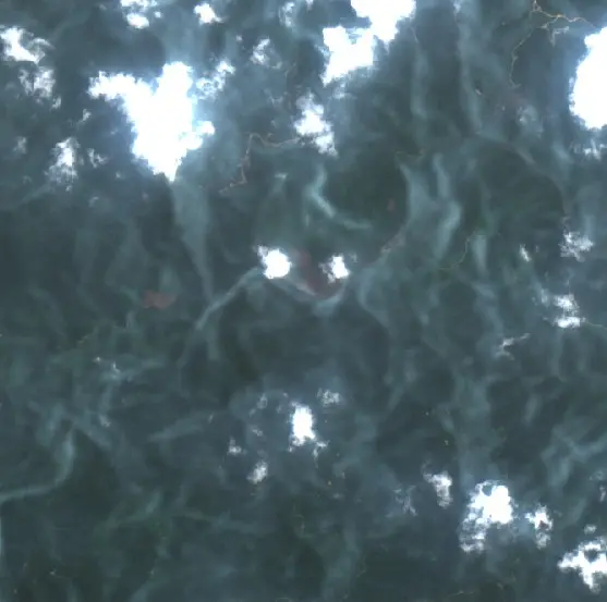 After — Murung Raya (Sentinel-2, 2026-09-21)