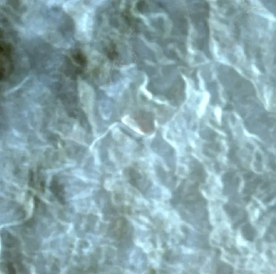 Before — Murung Raya (Sentinel-2, 2026-08-29)