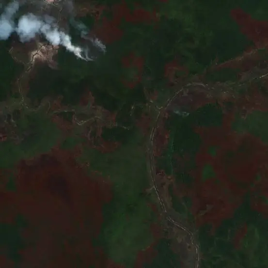 Fire near Mappi, Indonesia — 11 Oct 2026 | Fire Map Today