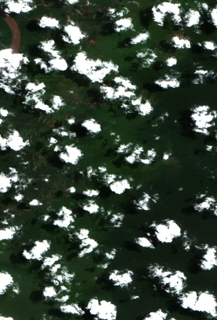 Before — Sampit (Sentinel-2, 2026-08-30)