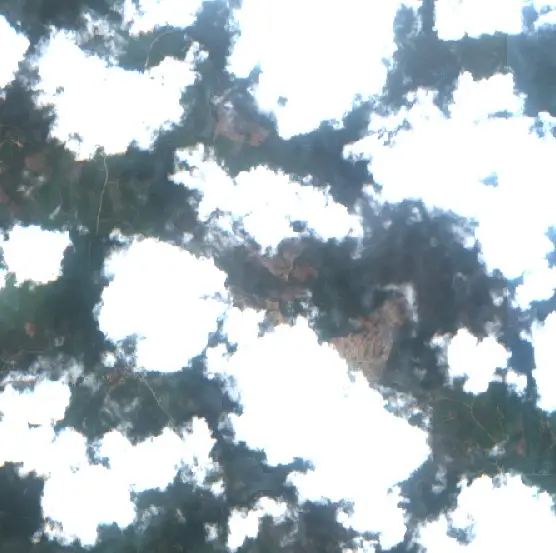 After —  (Sentinel-2, 2026-10-01)