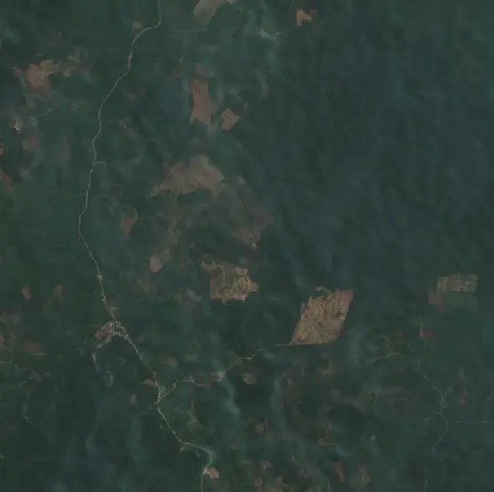 Before —  (Sentinel-2, 2026-08-29)