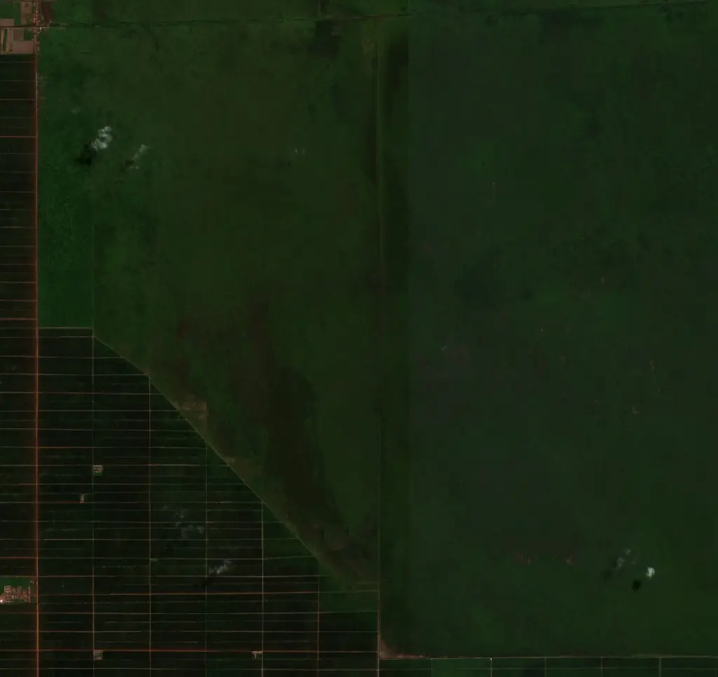 Before — Pulang Pisau (Sentinel-2, 2026-08-29)