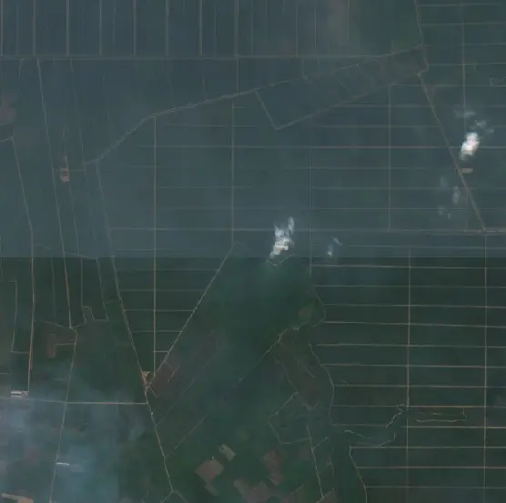 Before — Talang Kelapa (Sentinel-2, 2026-09-08)