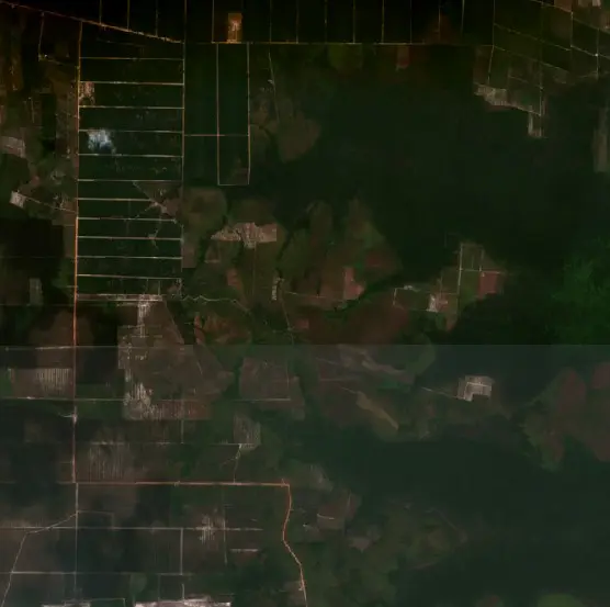 Before — Kotawaringin Timur (Sentinel-2, 2026-09-19)