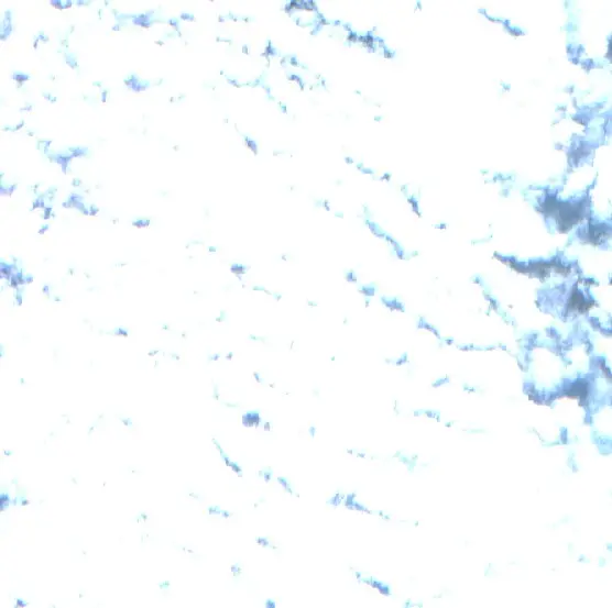 After —  (Sentinel-2, 2026-09-19)
