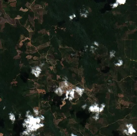 Before —  (Sentinel-2, 2026-08-08)