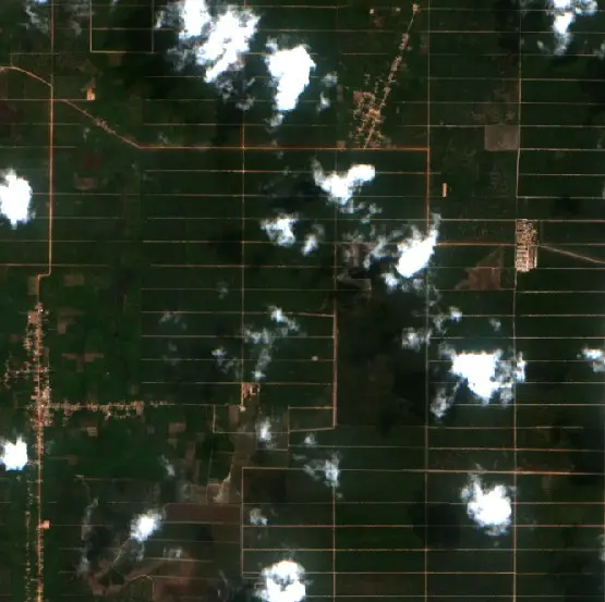 Before — Mesuji Raya (Sentinel-2, 2026-09-08)
