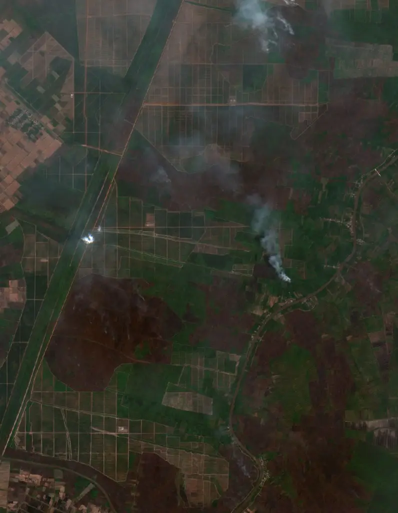 After —  (Sentinel-2, 2026-10-08)