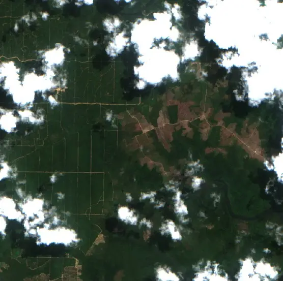 Before — Kotabaru (Sentinel-2, 2026-09-03)