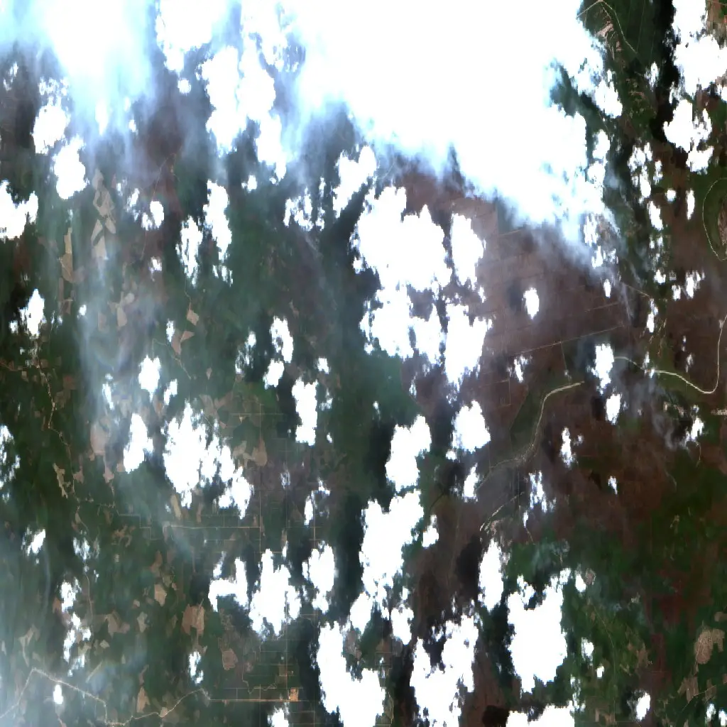 After — Cengal (Sentinel-2, 2026-10-08)