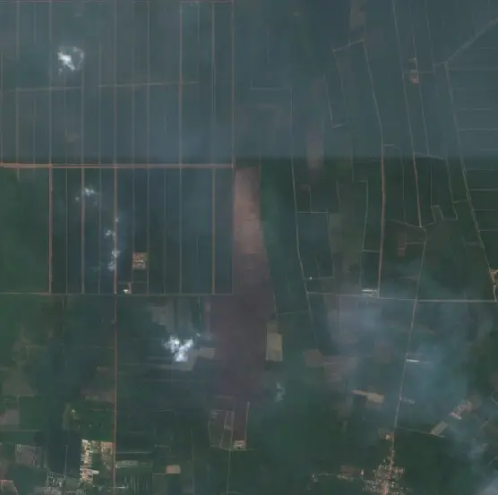 Before —  (Sentinel-2, 2026-09-08)