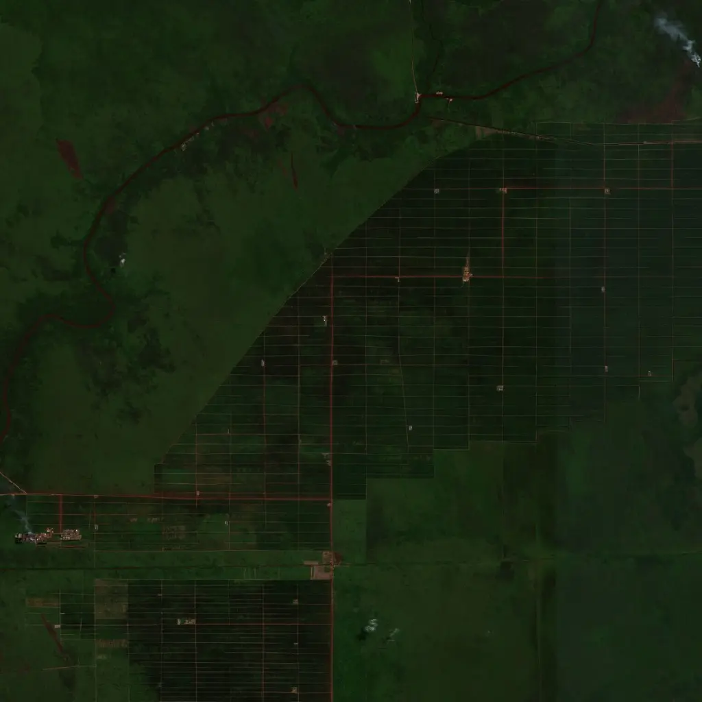 Before — Pulang Pisau (Sentinel-2, 2026-08-29)