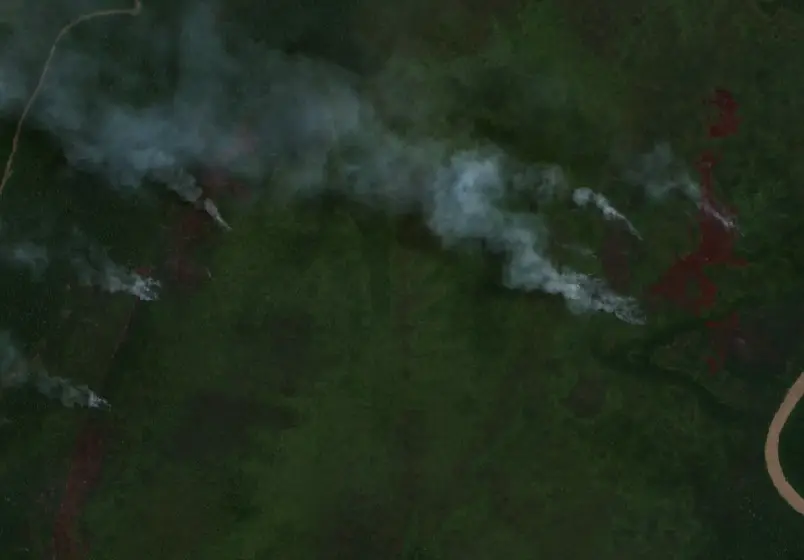 After — Mappi (Sentinel-2, 2026-09-11)