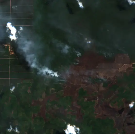 After — Gelumbang (Sentinel-2, 2026-09-03)